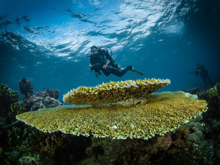 Nunukan Island Borneo and the Underwater World