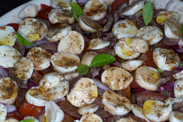 Tomato mozzarella salad with washed tomatoes in rings cut onions and mozzarella