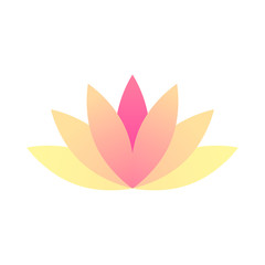 modern minimalist lotus lily flower 