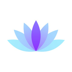 Fototapeta na wymiar modern minimalist lotus lily flower 