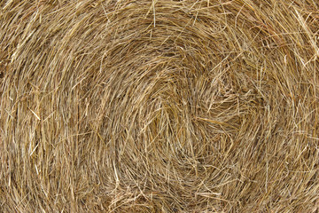 hay bale