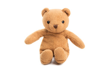 toy little bear isolated