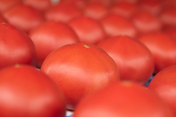 Tomatoes