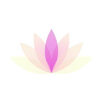 modern minimalist lotus lily flower 