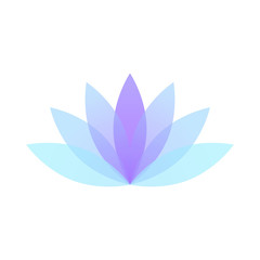 modern minimalist lotus lily flower 