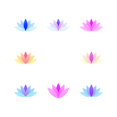 modern minimalist lotus lily flower 