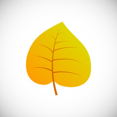 Autumn leaf on a white background