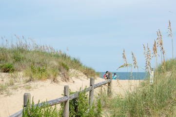 Sea Oats and dunes at beach acess point, Virginia Beach, VA