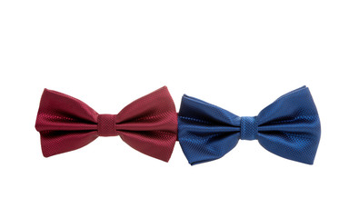 male bow tie isolated