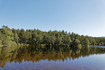 Loch an Eilein - Rothiemurchus, Cairngorms National Park - Scotland, UK