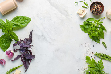 Different fresh herbs with spices on light background