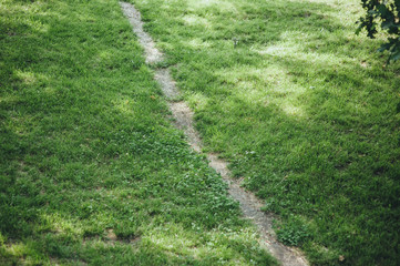 Trail for people on a green field and grass in the forest. The road for tourists and walks.