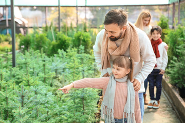 Family choosing Christmas tree in greenhouse