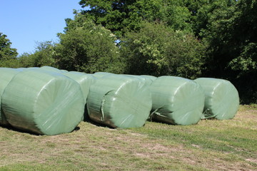 Siloballen auf einer Wiese 