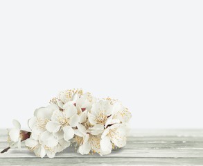 Flower.