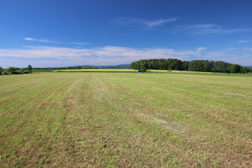 gemähte Wiese