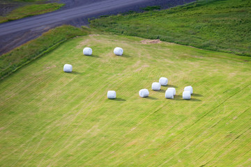 Packed in white bales harvested grass in Iceland field.