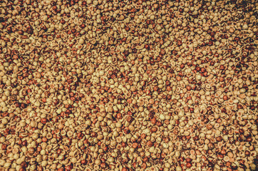 Pattern of brown peeled hazelnuts. Peeled nuts heap., texture Food and drinks, ingredients. Nutrition, nutrients