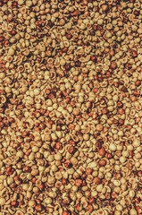 Vertical photography of brown peeled hazelnuts pattern. Peeled nuts heap texture. Food and drinks, ingredients. Nutrition, nutrients