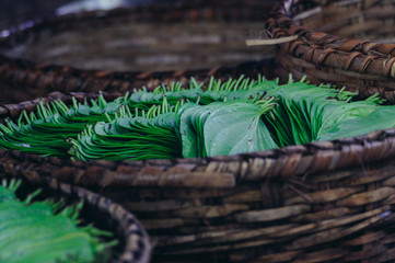 Betel nuts leafs in basket