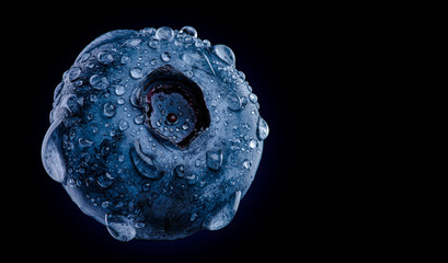 One blueberry covered with water drops isolated on black background. Antioxidant concept.