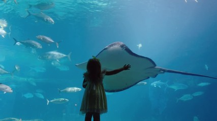 little girl in aquarium looking at stingray swimming in tank curious child watching marine animals in oceanarium having fun learning about sea life in aquatic habitat