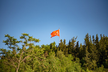 turkish flag rising from the forest
