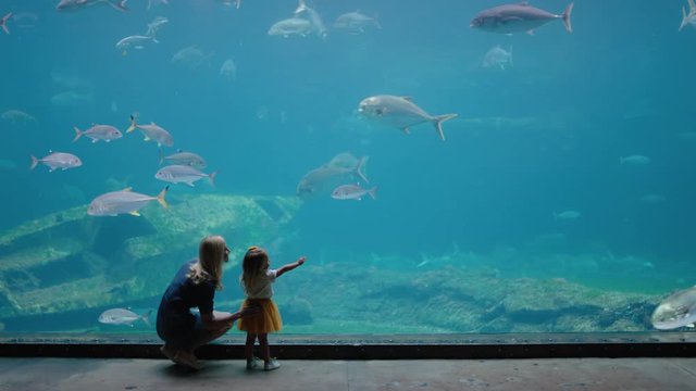 mother with daughter at aquarium looking at beautiful fish swimming in tank little girl observing marine animals with curiosity having fun learning about marine life with mom in oceanarium