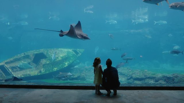 father with daughter at aquarium looking at beautiful fish swimming in tank little girl watching marine animals with curiosity having fun learning about marine life with dad in oceanarium