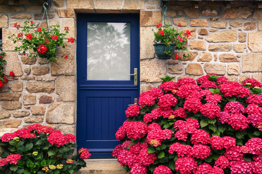 flowers on the door