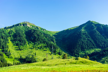 Black Sea turkey and green pine trees forest landscape with blue cloudy sky