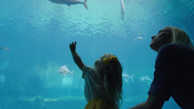 happy mother with daughter at aquarium looking at beautiful fish swimming in tank little girl watching marine animals with curiosity having fun learning about marine life with mom in oceanarium