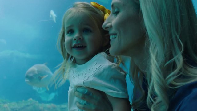 mother at child in aquarium looking at beautiful fish swimming in tank little girl watching marine animals with curiosity having fun learning about marine life with mom in oceanarium
