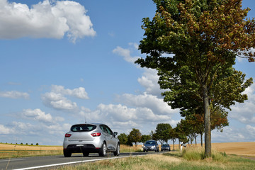 rheinhessische sommerlandschaft - obrazy, fototapety, plakaty