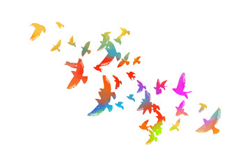 Multi-colored birds. A flock of flying rainbow birds. Vector illustration