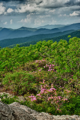 View from Craggy Gardens in Asheville, NC near the Great Smoky Mountains National Park showing the layers of the Appalachian mountains.