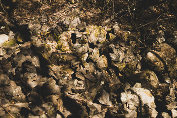 small stone turrets in the forest. stone sculptures