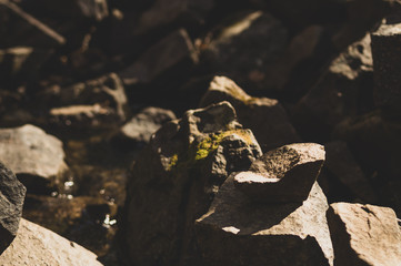 small stone turrets in the forest. stone sculptures