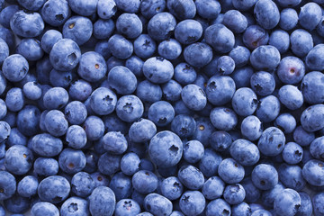 Fototapeta na wymiar Natural texture of fresh ripe blueberries