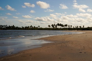 Beautiful beach and tropical sea. Wonderful beach nature, perfect view of exotic landscape, real sand and blue sky.