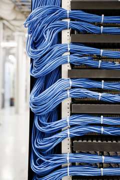 Close up of cat 5 cables hooked to servers in computer server room