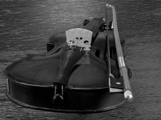 The violin lies. Black and white still life. Close-up.