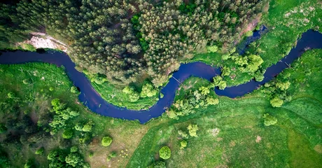 Fotobehang Aerial landscape - wild river in summer © Piotr Krzeslak
