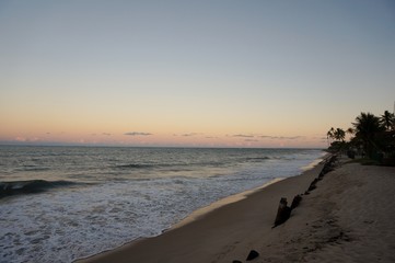 Beautiful beach and tropical sea. Wonderful beach nature, perfect view of exotic landscape, real sand and blue sky.