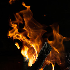 Fototapeta premium fire flames in bonfire stove isolated with balck