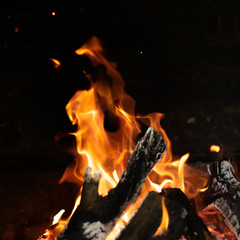 fire flames in bonfire stove isolated with balck