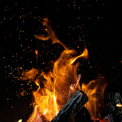 Fototapeta na wymiar fire flames in bonfire stove isolated with balck