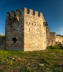 Smederevo Fortress