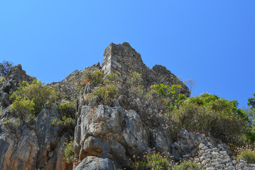 Fototapeta na wymiar Castle ruins on a rock in the tropics