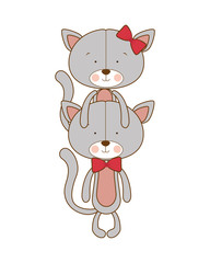 cute couple of cats on white background